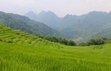 Randonnée sur les rizières de Mai Chau