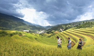 Vietnam du nord au sud
